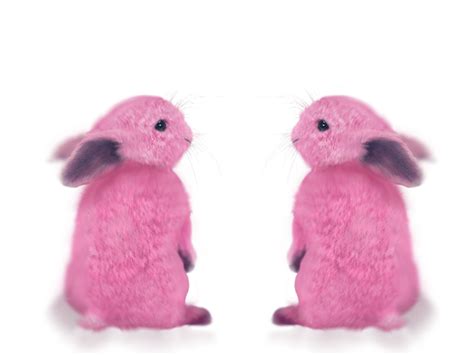 Pink Bunny By Nekonatsume On Deviantart