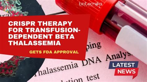 Breakthrough Fda Approves Crispr Therapy For Transfusion Dependent