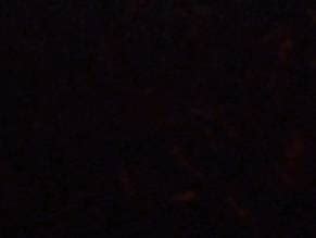 Lori Wagner Nude Aznude