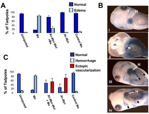 Edema Provoked By Xc Myc Knockdown Is Intrinsic And Specific And Xc Myc