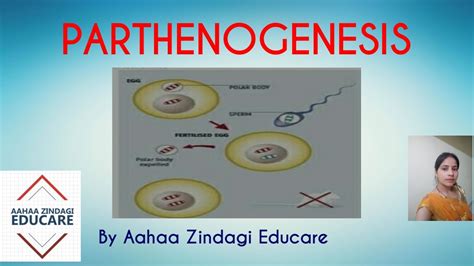 Parthenogenesis Youtube