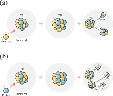 Pdf Comparison Between Proton Boron Fusion Therapy Pbft And Boron