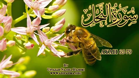 Live Tafseer Of Surah Nahl Ayah By Ustazah Najiha Hashmi