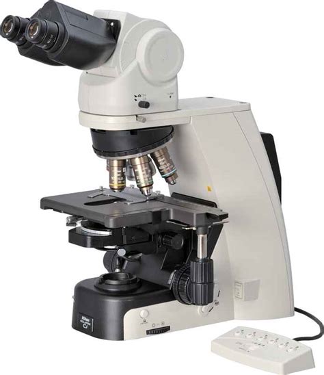 Upright Microscopes Products Nikon Instruments Inc