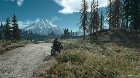 Days Gones Entire Open World Was Designed By Just 6 People
