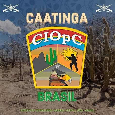 Batalh O De Caatinga Caatinga Opera Es Especiais Exercito