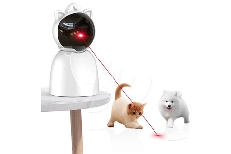 The 7 Best Laser Pointer Toys for Cats of 2023 | by The Spruce Pets