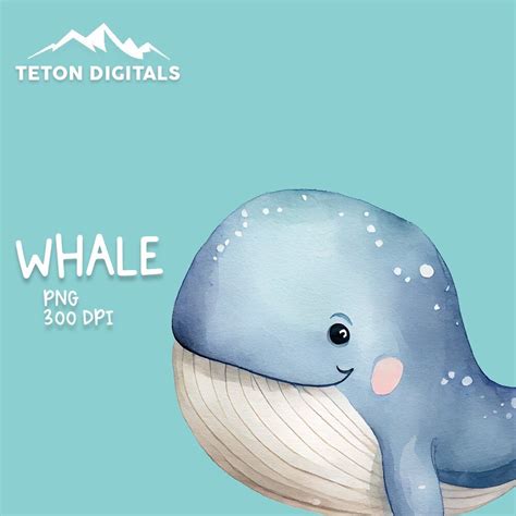 Whale Watercolor Clipart, Cute Whale Clipart PNG, Whale Clipart Digital ...