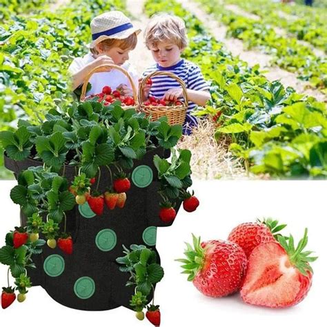 Jardini Re Sac De Culture Pour Fraises Et Tomates Trous Pour Jardin