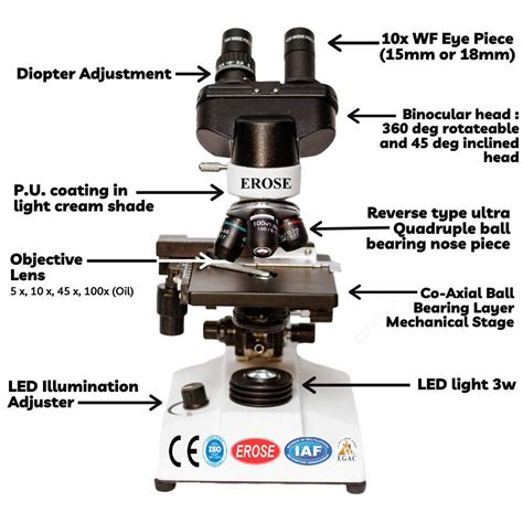 Binocular Microscope Glass Agencies