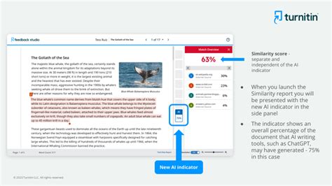 Turnitin And Ai Detection Tool Academic Technology Siena