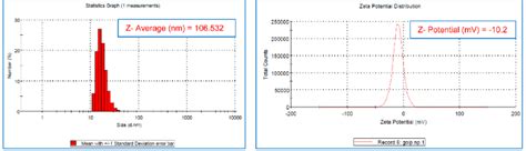 A Zeta Particle Size Measurement B Zeta Potential Measurement Of T