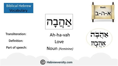 Basics Of Biblical Hebrew Vocabulary List Hebrewversity