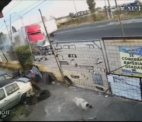 Se salvan 4 perros de morir aplastados por tráiler que arrastró un auto