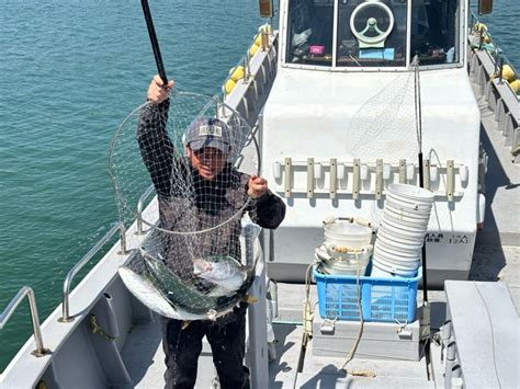 愛知県南知多│篠島のウイングはジギングandエギングガイドの釣り船（ルアー船）です 5月9日 休み明け～