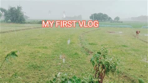 My First Vlog🙏umar Vlog Youtube