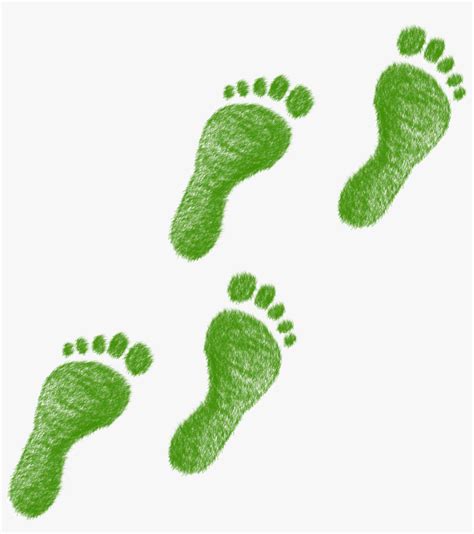 Environmental Footprint Ecological Footprint 720x720 Png Download