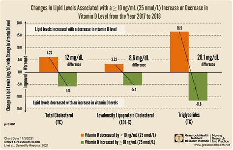 Does Increasing Vitamin D Levels Also Raise Cholesterol Levels