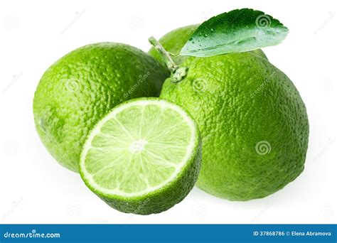 Lime Stock Photo Image Of Glossy Fruit Group Fresh 37868786