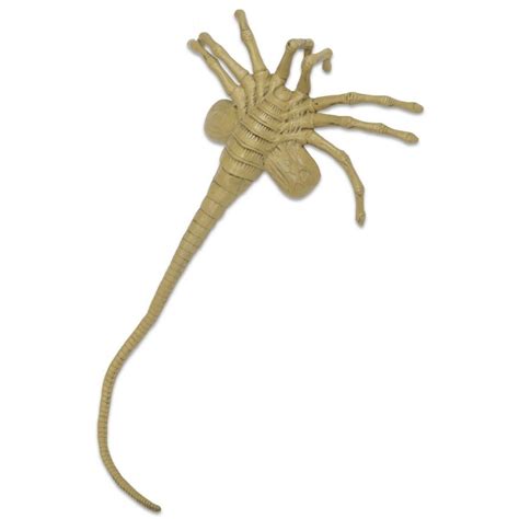 Réplica Facehugger Life Size Alien Prop Replica Escala 1 1 Neca Cd