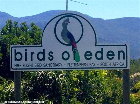 Visiting the Birds of Eden Sanctuary in Plettenberg Bay, South Africa - Roam Far and Wide