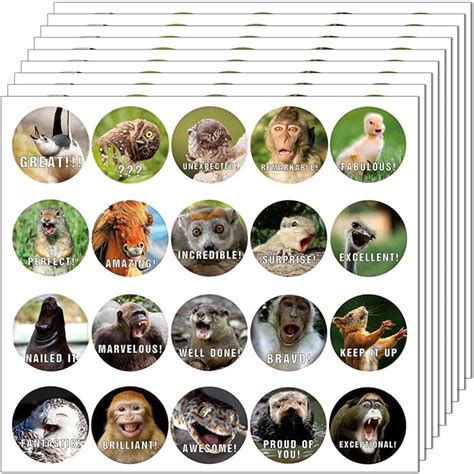 Buy Animal Reward Stickers Hilarious Motivational Positive Teacher Stickers for Kids, 28 Vibrant ...