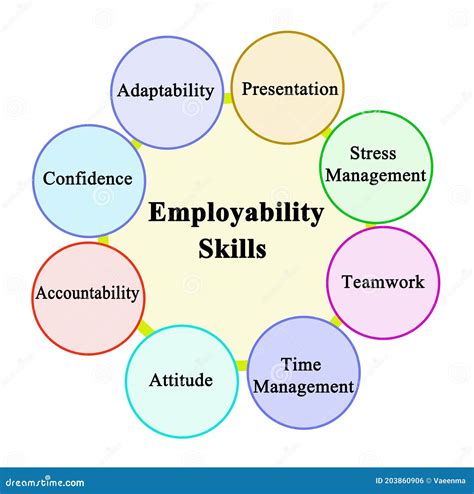 Skills Which Promote Employability Stock Photo Image Of Iagram Eight