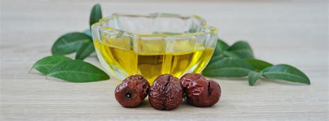 Beneficios Y Propiedades Del Aceite De Jojoba Canalsalud