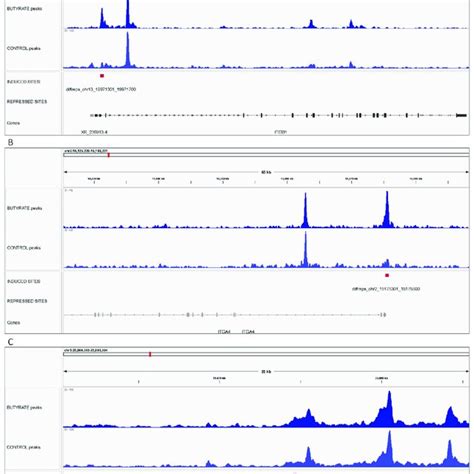 Integrative Genomics Viewer Igv Screenshot Of Ctcf Peaks Bt And Ct Download Scientific