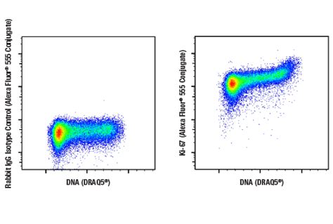 Ki D B Rabbit Mab Alexa Fluor Conjugate Cell Signaling