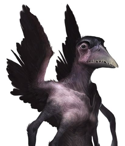 Avian Massive Species Stellaris Wiki Creature Concept Art