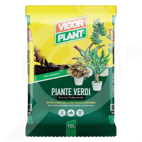 Terriccio Professionale Delle Piante Verdi Litri Vigorplant Ph