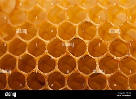 Close Up Of Honeycomb In A Beehive Stock Photo Alamy