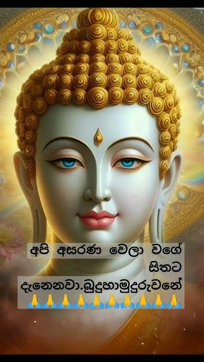 අපි අසරණ වෙලා වගේ සිතට දැනෙනවා🙏🙏🙏බුදුහාමුදුරුවනේ🙏🙏🙏☸️ Gautamabuddha