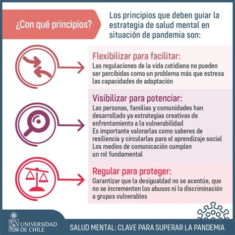 Propuestas Para Una Estrategia Nacional De Salud Mental — Psiconecta