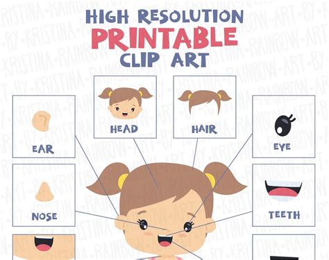 Boy And Girl Body Parts Clip Art Visual Scheme Illustration Human