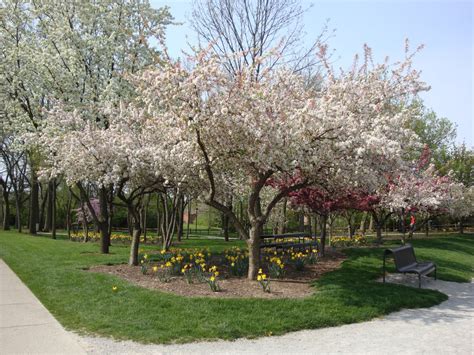 Lincoln Park Commons Pond News Kettering Ohio Award Winning