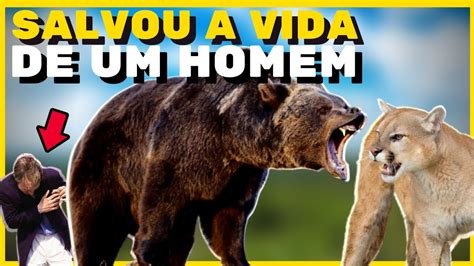 Conhe A Os Animais Que Se Tornaram Verdadeiros Her Is Da Vida Real