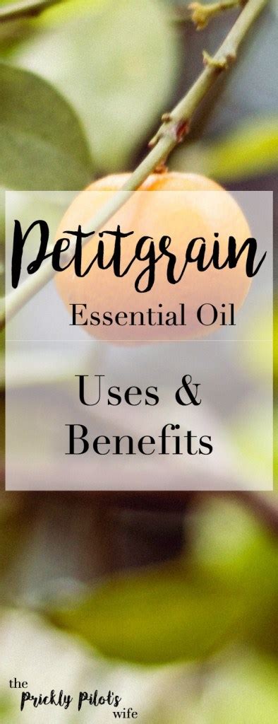 Petitgrain Essential Oil Uses And Benefits The Prickly Pilots Wife