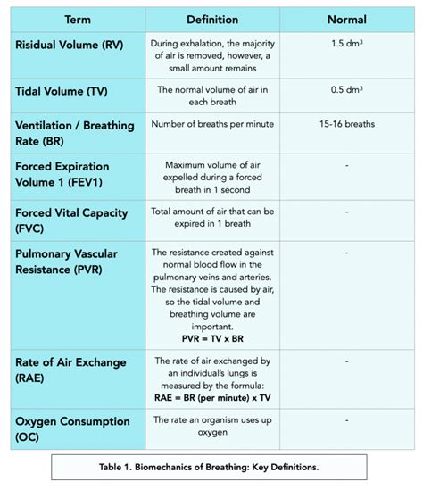 Pulmonary Ventilation Rate A Level Biology Study Mind