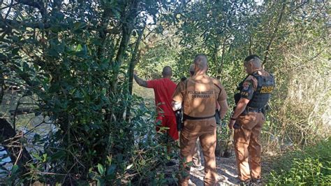 Corpo encontrado no Rocio é de idoso que estava desaparecido Portal