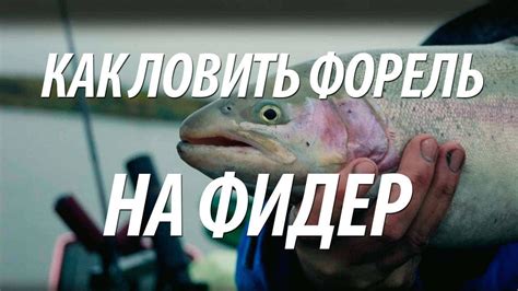 ЛОВЛЯ ФОРЕЛИ НА ОЗЕРЕ. РЫБАЛКА В ШВЕЦИИ НА ФИДЕР С НОРМУНДОМ ...