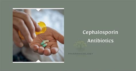 Cephalosporins An Overview Pharmacology Mentor