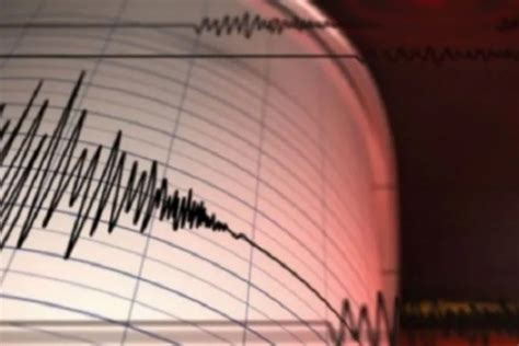 Gempa M 5 0 Terjadi Di Jayapura Berjenis Dangkal Akibat Aktivitas Sesar