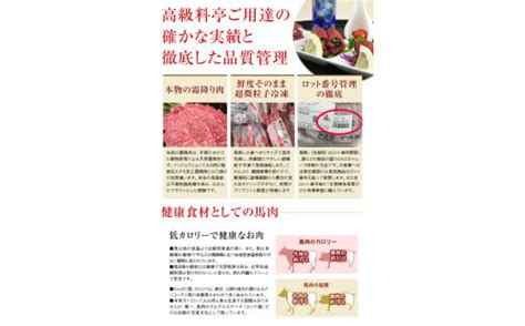 若丸の馬刺し ヘルシー赤身 500g 長野県飯島町 セゾンのふるさと納税