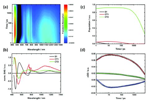 Transient Absorption Spectra Obtained Upon Femtosecond Laser Flash