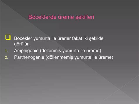 Boceklerde Duyu Organlari Wnjvn Pdf