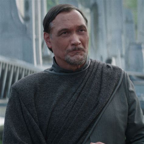 Bail Organa Shaniverse Wiki Fandom