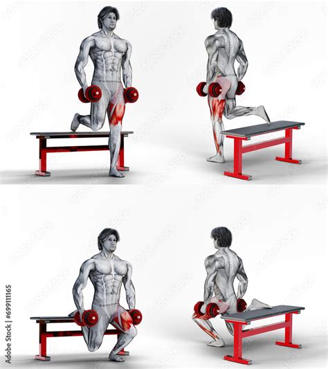 136 Single Leg Bulgarian Split Squats 3D Anatomy Of Fitness And