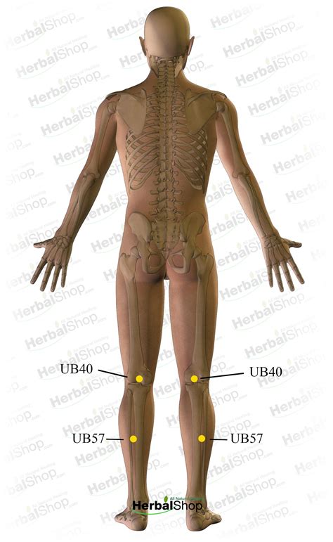 Acupressure Massage for Cramps In the Legs – HerbalShop